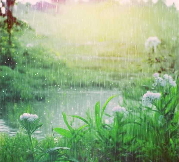 春雨润无声，诗意染芳华,春雨绵绵，润物无声—描绘春雨的美丽诗句,智慧,美好,第1张